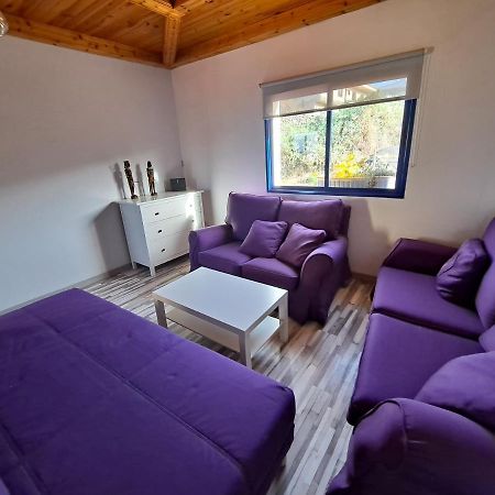Tenerife Apartment 100M2 Casa De Don Quijote With A Terrace Of 100M2 With A View Of The Ocean And Teide Volcano And A Garden Of 600M2 이코드레로스비노스 외부 사진