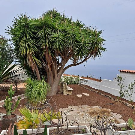 Tenerife Apartment 100M2 Casa De Don Quijote With A Terrace Of 100M2 With A View Of The Ocean And Teide Volcano And A Garden Of 600M2 이코드레로스비노스 외부 사진