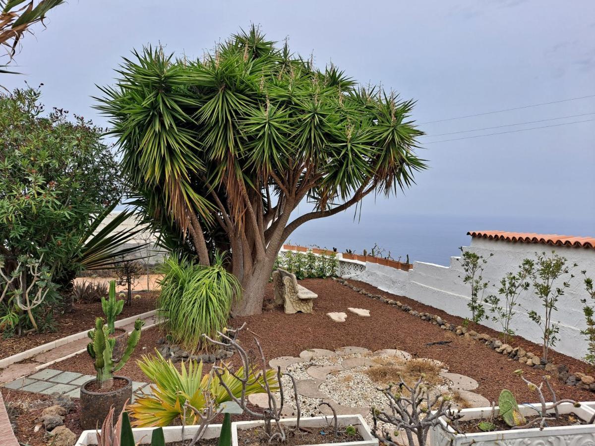 Tenerife Apartment 100M2 Casa De Don Quijote With A Terrace Of 100M2 With A View Of The Ocean And Teide Volcano And A Garden Of 600M2 이코드레로스비노스 외부 사진