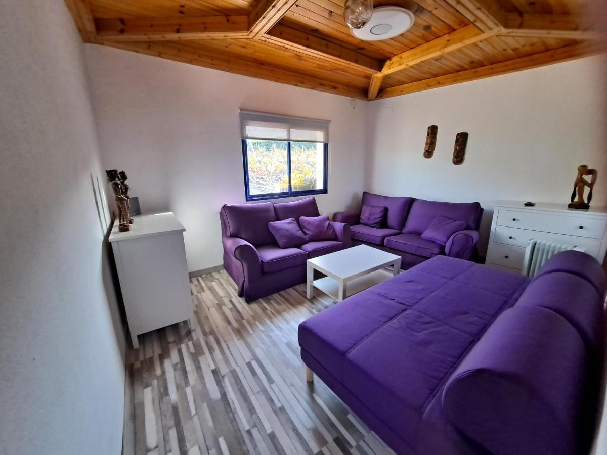 Tenerife Apartment 100M2 Casa De Don Quijote With A Terrace Of 100M2 With A View Of The Ocean And Teide Volcano And A Garden Of 600M2 이코드레로스비노스 외부 사진