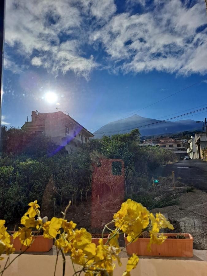 Tenerife Apartment 100M2 Casa De Don Quijote With A Terrace Of 100M2 With A View Of The Ocean And Teide Volcano And A Garden Of 600M2 이코드레로스비노스 외부 사진