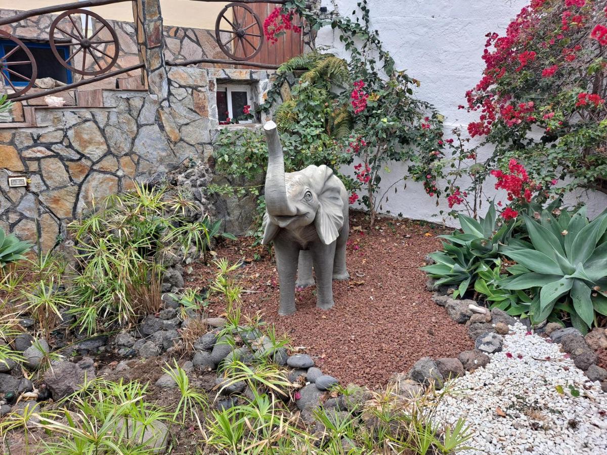 Tenerife Apartment 100M2 Casa De Don Quijote With A Terrace Of 100M2 With A View Of The Ocean And Teide Volcano And A Garden Of 600M2 이코드레로스비노스 외부 사진