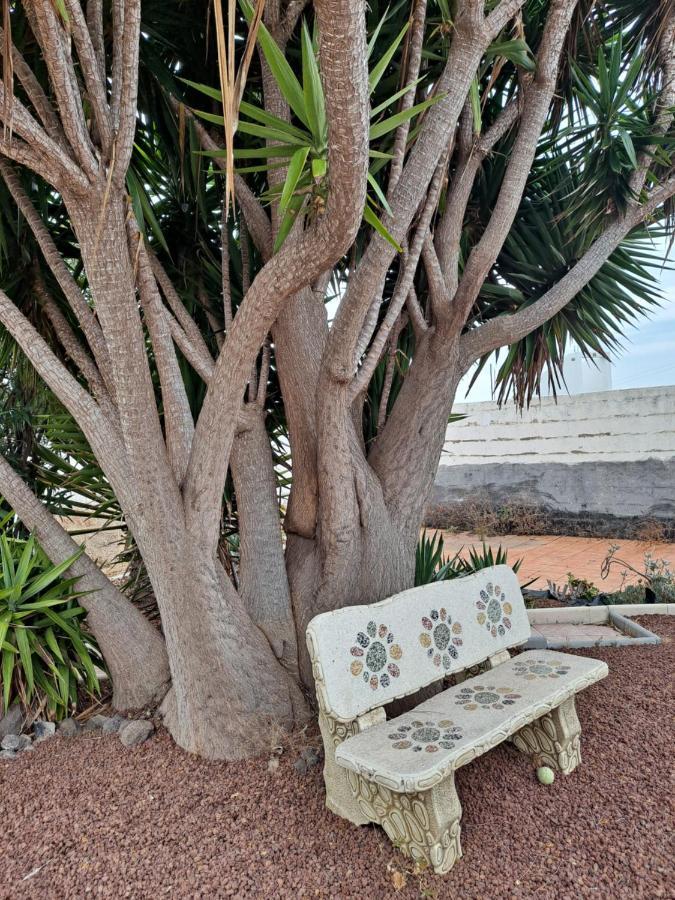 Tenerife Apartment 100M2 Casa De Don Quijote With A Terrace Of 100M2 With A View Of The Ocean And Teide Volcano And A Garden Of 600M2 이코드레로스비노스 외부 사진